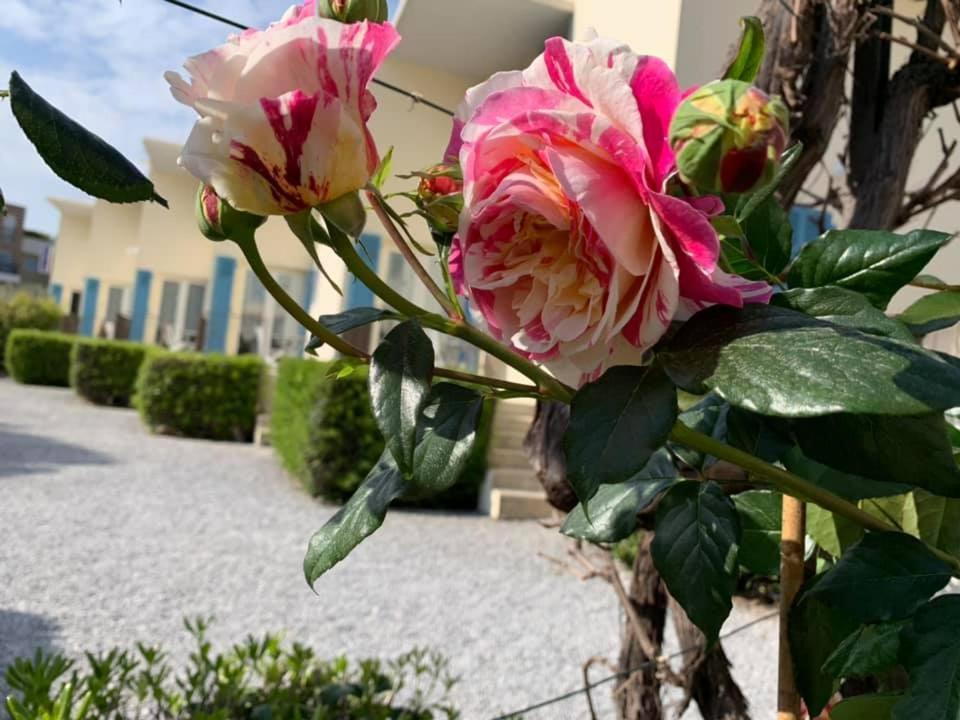 Hotel L'Etape Villeneuve-Loubet Exteriör bild